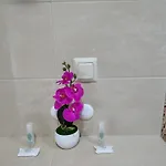 ивела * Balchik