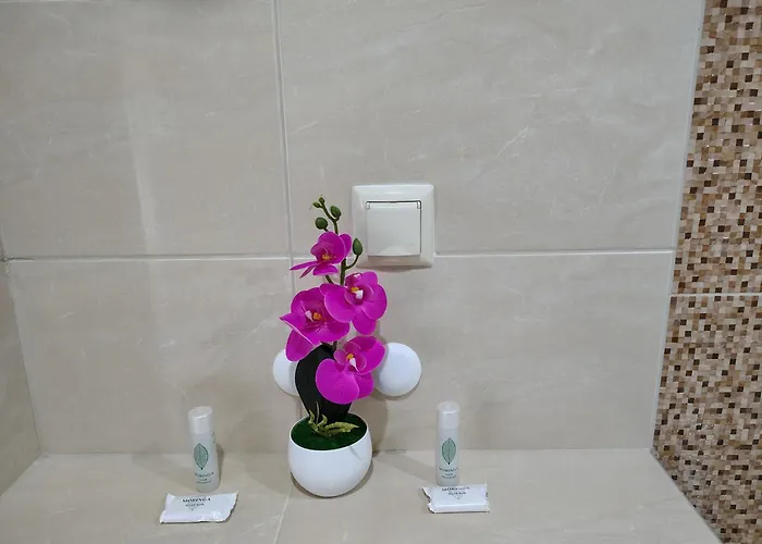 ивела * Balchik